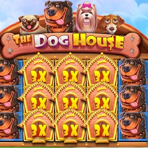 Геймплей Dog House - бонусные вращения и символы